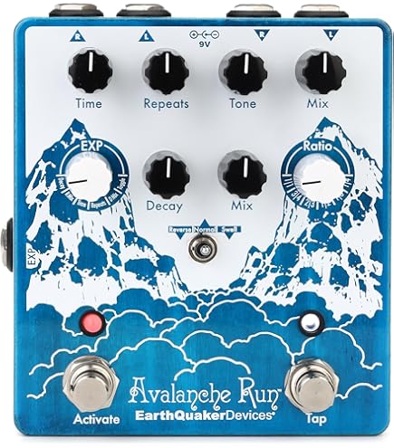 Amazon.com: EarthQuaker Devices Silos Multi-generational Time