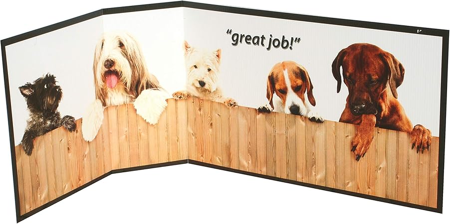 piddle place indoor dog & cat toilet