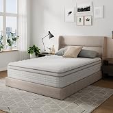 Novilla 14 Inch Queen Size Mattress, Hypoallergenic &amp; Back Pain Relief, Hybrid Queen Mattresses in a Box with Smarts Coils, Fiberglass Free CertiPUR-US Certified Colchones No Box Spring Needed