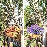CECOMBINE 4Pcs 8" Metal Hanging Baskets with Coco Liner for Plants view 2