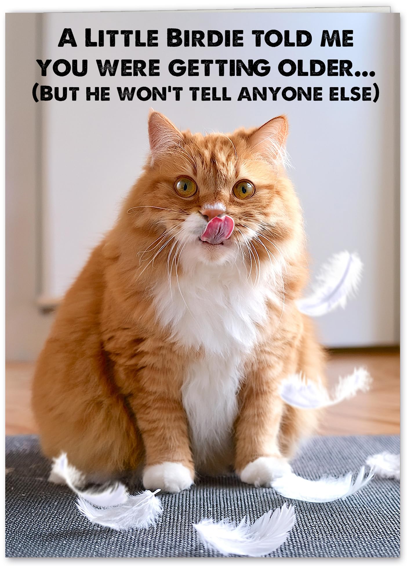 Photo 1 of CardFool Funny Cat Birthday Cardfor Women, Men, Coworkers, Friends & Family plus Free bonus Postcard included - a little birdie told us you're a year older