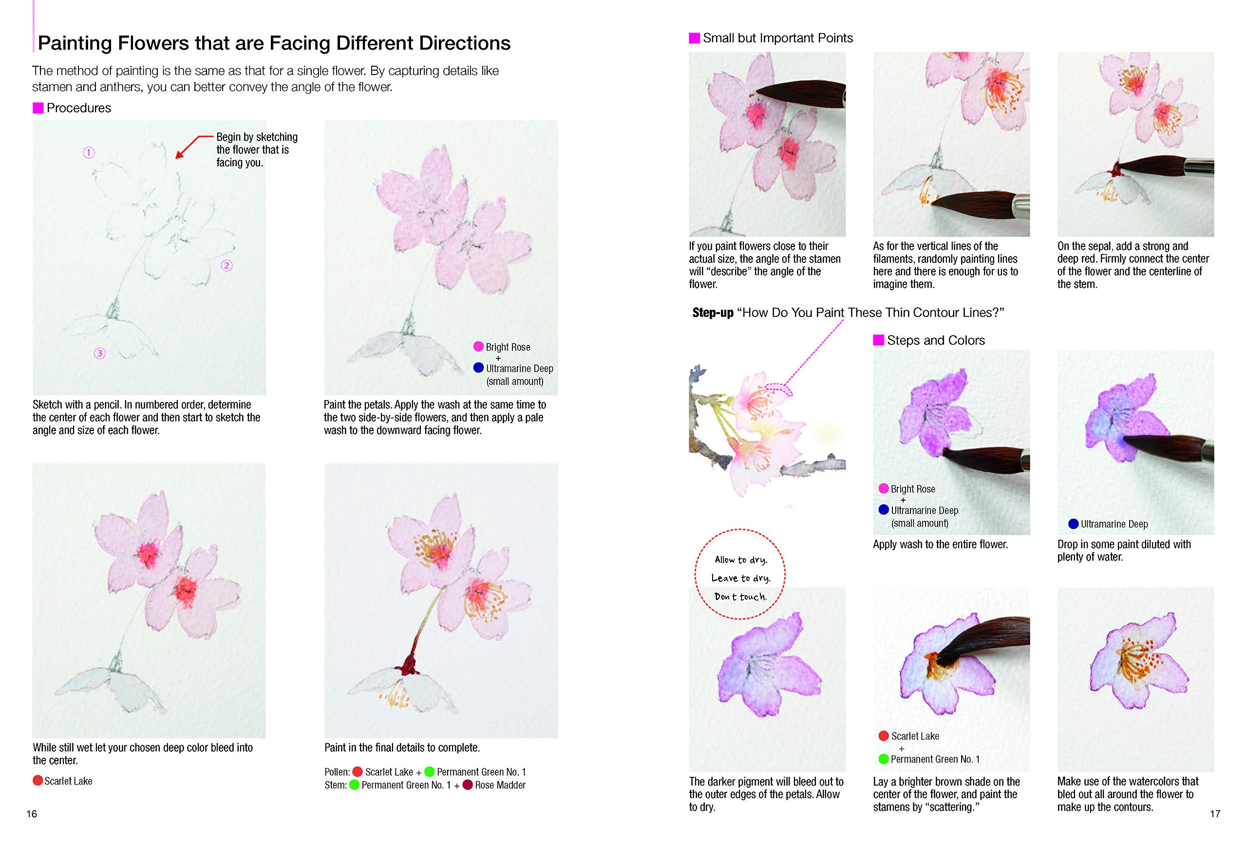 Five Simple Steps To Sketching Flowers With Watercolors Nakamura Ai Amazon Com Books