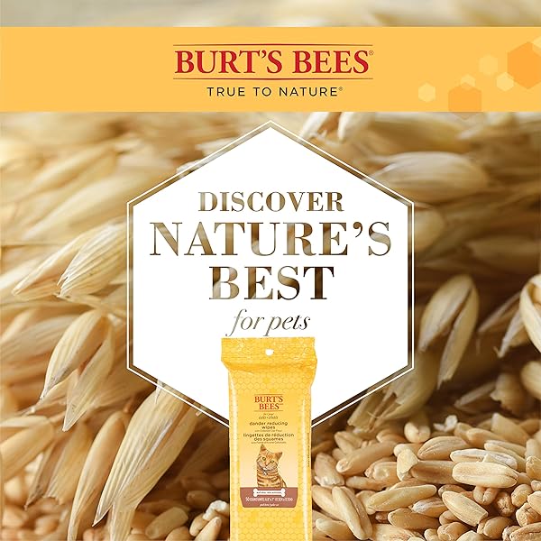 BURT’S BEES FOR PETS CAT DANDER WIPES WITH COLLOIDAL OAT FLOUR, 98% NATURAL ORIGIN FORMULAS, CAT DANDER REMEDY, CAT WIPES FOR ALLERGY RELIEF, CAT DANDER WIPES, 50CT