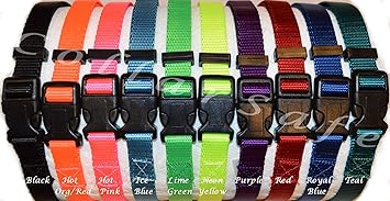 Stay and play collar Clearance