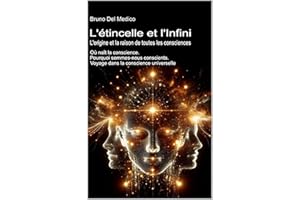 L'étincelle et l'Infini. L'origine et la raison de toutes les consciences: Où naît la conscience. Pourquoi sommes-nous consci