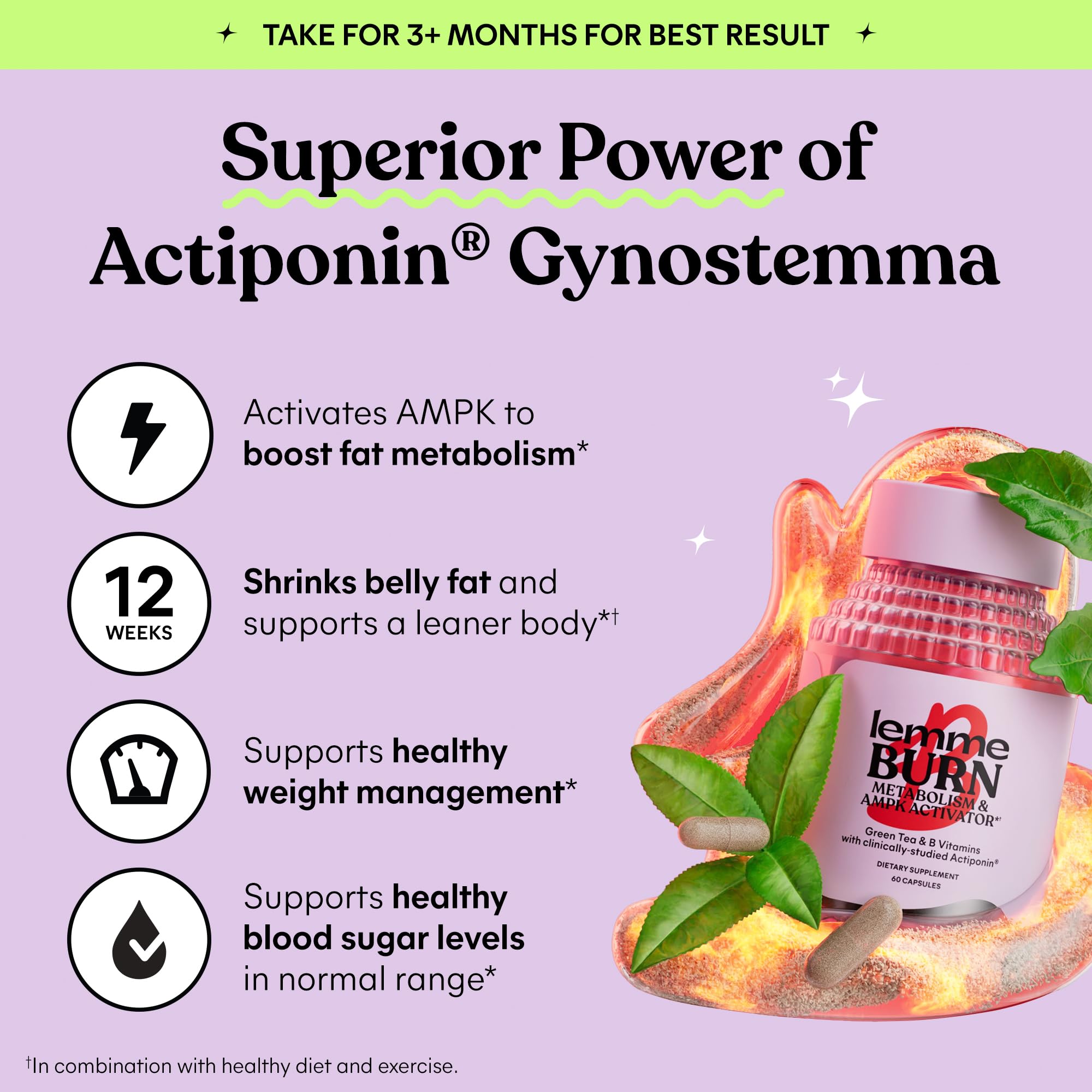 Lemme Burn - Metabolism, Belly Fat Burning + AMPK Activating Supplement for Men & Women w/Clinically Studied Actiponin Gynostemma, Green Tea Extract, Vitamins B6 & B12 - Gluten Free, 60 Count