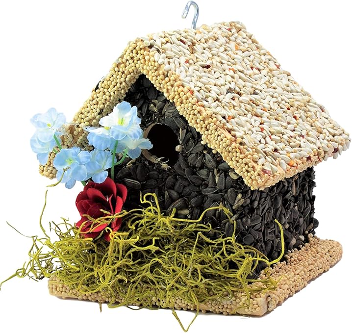 Amazon Com Edible Birdhouses Handmade Short Light Unique