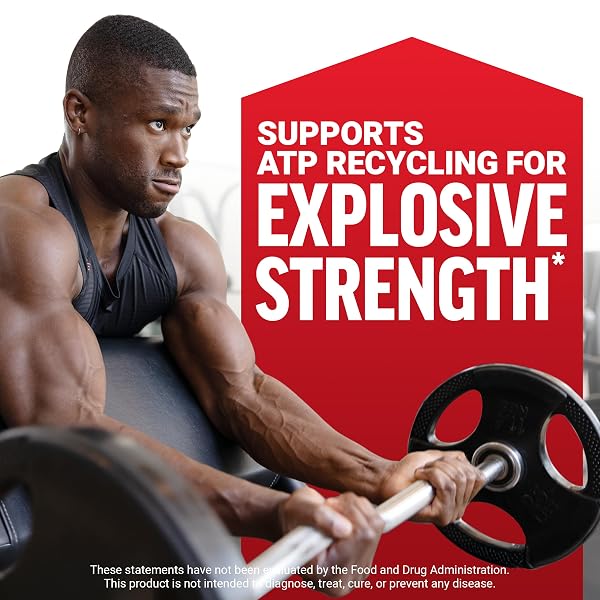 FORCE FACTOR CREATINE MONOHYDRATE POWDER, 5G MICRONIZED DOSE TO SUPPORT MUSCLE GROWTH, STRENGTH, RECOVERY, COGNITIVE HEALTH & MEMORY, UNFLAVORED, 60 SERVINGS