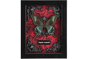 WTUAWB Real Butterfly Framed Butterfly Taxidermy - Butterfly Shadow Box, Real Framed Butterflies in a Box for Gothic Home Decor Aesthetic (A_Alpine Black Swallowtail Red Background #1)
