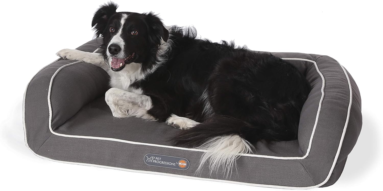 best pet bed for senior dogs