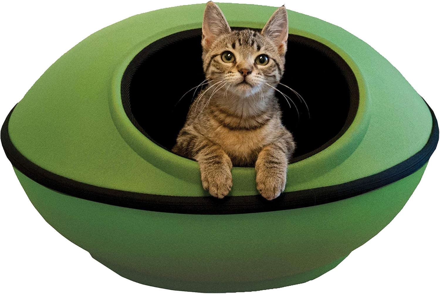 Unique cat products Clearance