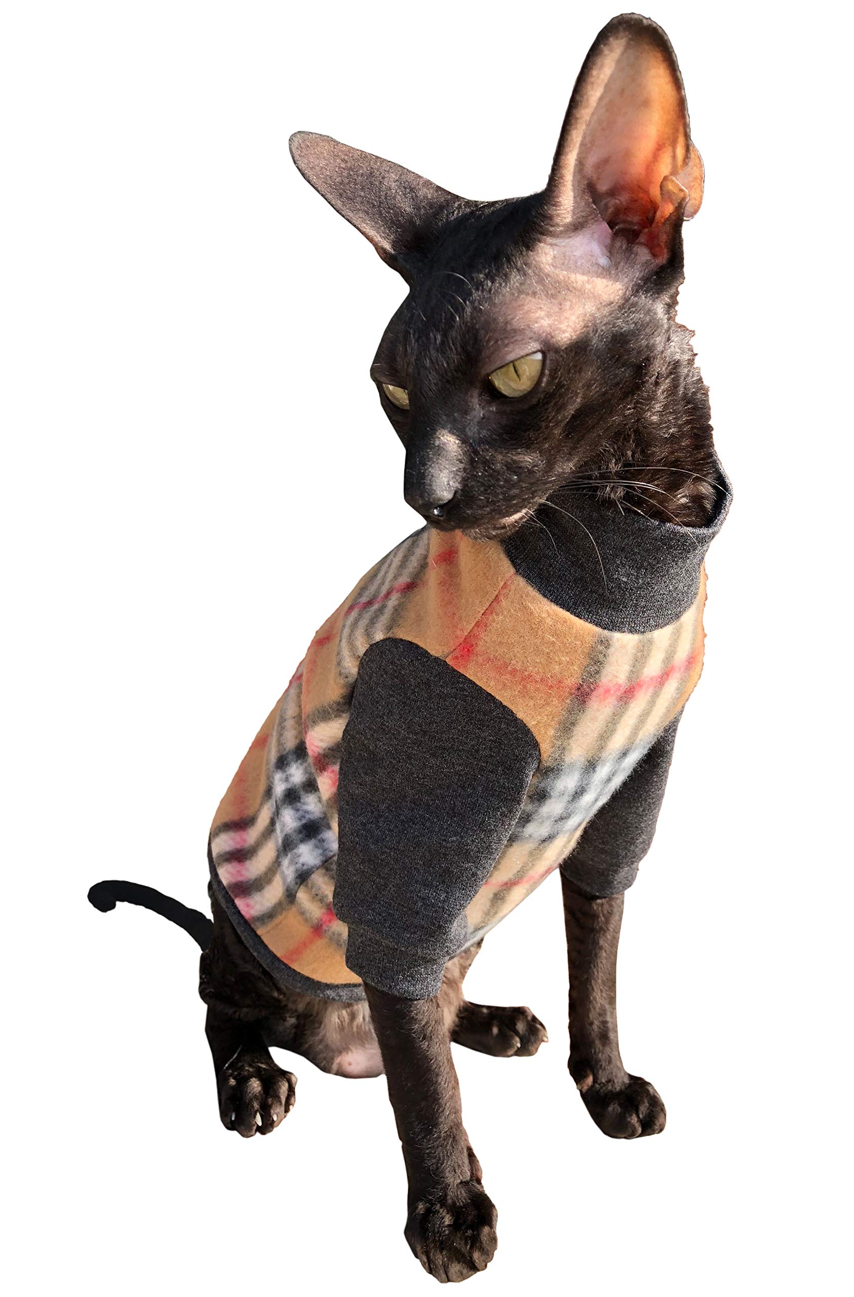 Sphynx Cat Turtleneck 2025