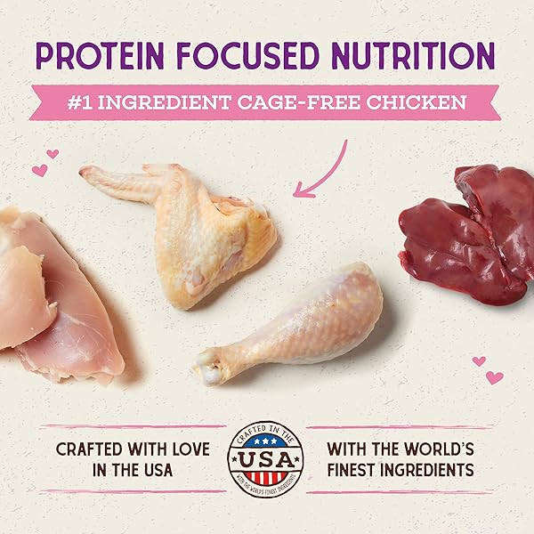 STELLA & CHEWY’S RAW COATED PREMIUM KIBBLE CAT & KITTEN FOOD – GRAIN FREE, PROTEIN RICH MEALS – CAGE-FREE CHICKEN FOR KITTENS RECIPE – 2.5 LB. BAG