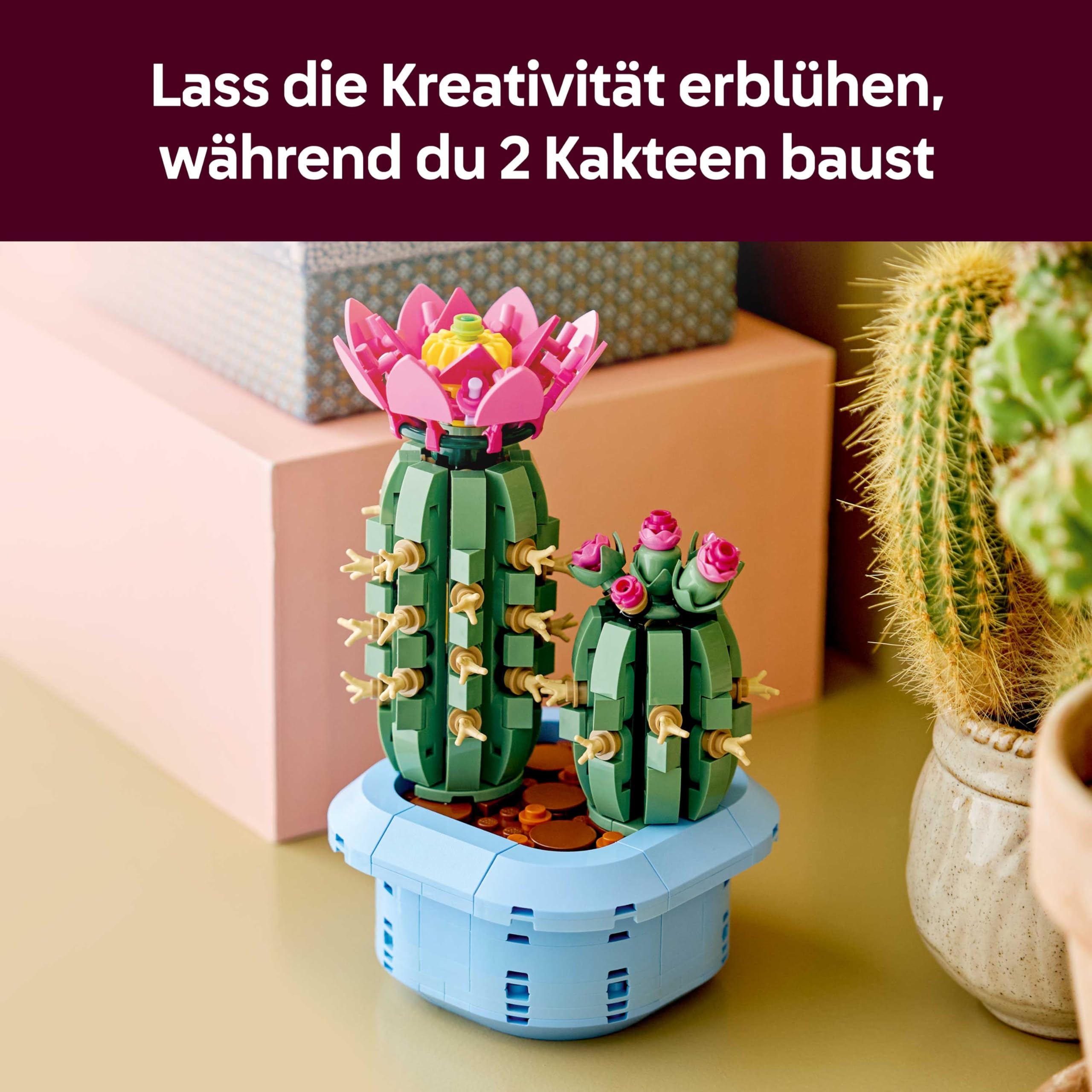 LEGO Botanicals Blühender Kaktus - Set mit Kunstpflanze mit 2 Kakteen & künstlichen Blüten - DIY Deko - Geschenkidee zum Geburtstag für Mädchen ab 9 Jahren & Erwachsene Pflanzenliebhaber - 11509 3
