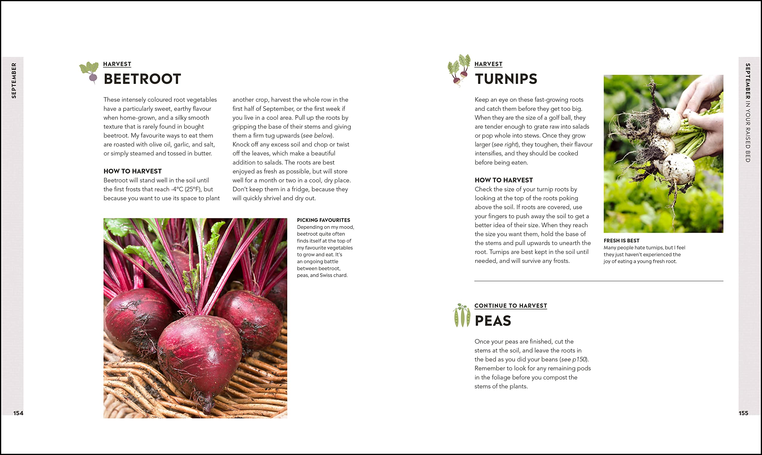 Veg in One Bed: How to Grow an Abundance of Food in One Raised Bed, Month by Month Veg in One Bed: How to Grow an Abundance of Food in One Raised Bed, Month by Month Hardcover Kindle