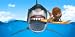Shark Attack Game – Play as a Great White Shark