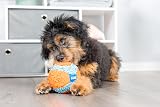 Chuckit Indoor Ball 12 cm Pet Toy Durable Soft One Piece view 2
