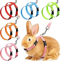 niteangel rabbit harness