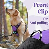 rabbitgoo Dog Harness Medium Adjustable No Pull Reflective Purple M view 7