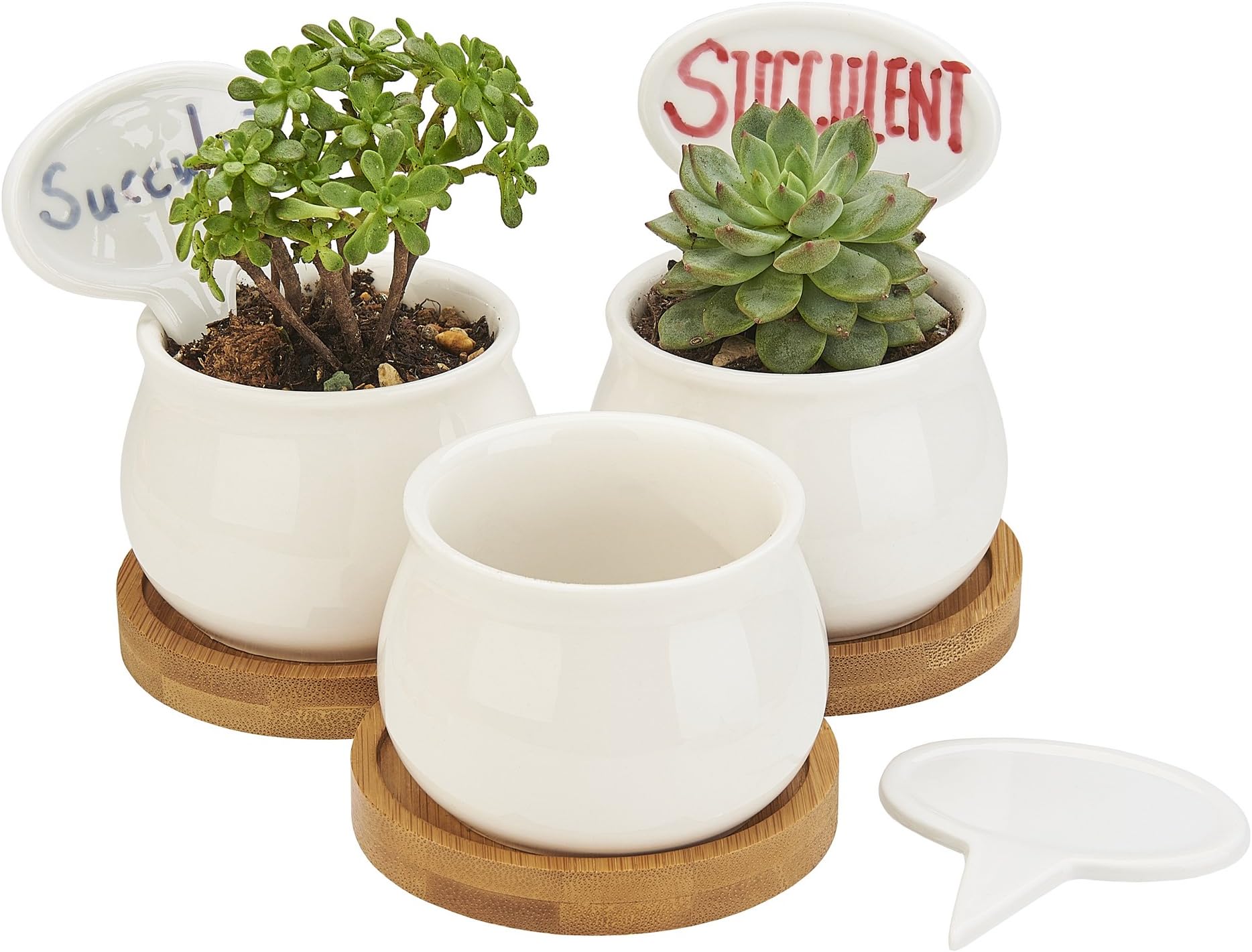 FLOWERPLUS Planter Pots Indoor, 3 Pack 2.75 Inch White Ceramic Small Round Succulent Cactus Flower Plant Pot with Bamboo Tray and Little Plants Signs for Indoors Garden Kitchen Decor