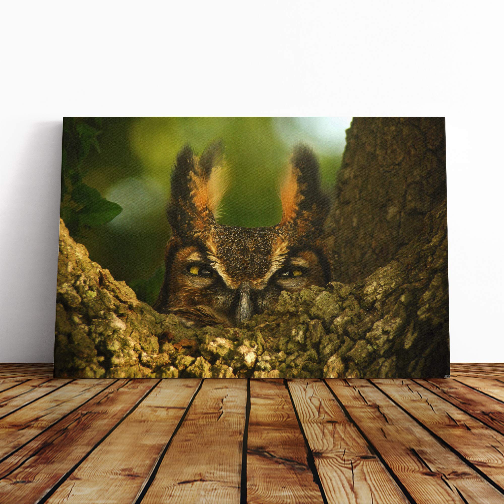 Horned Owl Bird Canvas Print | Gallery Wrapped 30mm Frame Wall Art | 20x14 inches | Ready to Hang | Modern Animals Picture | Living Room Bedroom Lounge Office