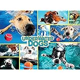 Buffalo Games - Underwater Dogs - 1000 Piece Jigsaw Puzzle
