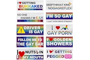 DXNQ 10 PCS Car Funny LGBT Stickers, Waterproof Prank Rainbow Bumper Stickers with Humor Text, Universal Colorful Gay Pride Decals for Vehicle Luggage Window, Car Accessories (02)