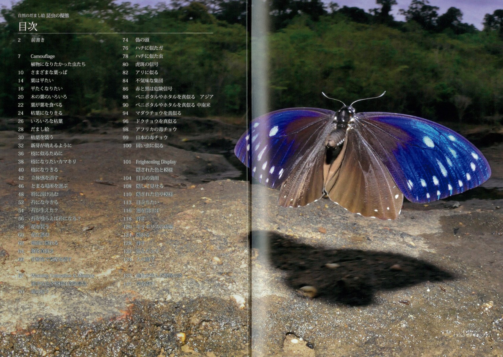 自然のだまし絵 昆虫の擬態 進化が生んだ驚異の姿 Amazon Com Books