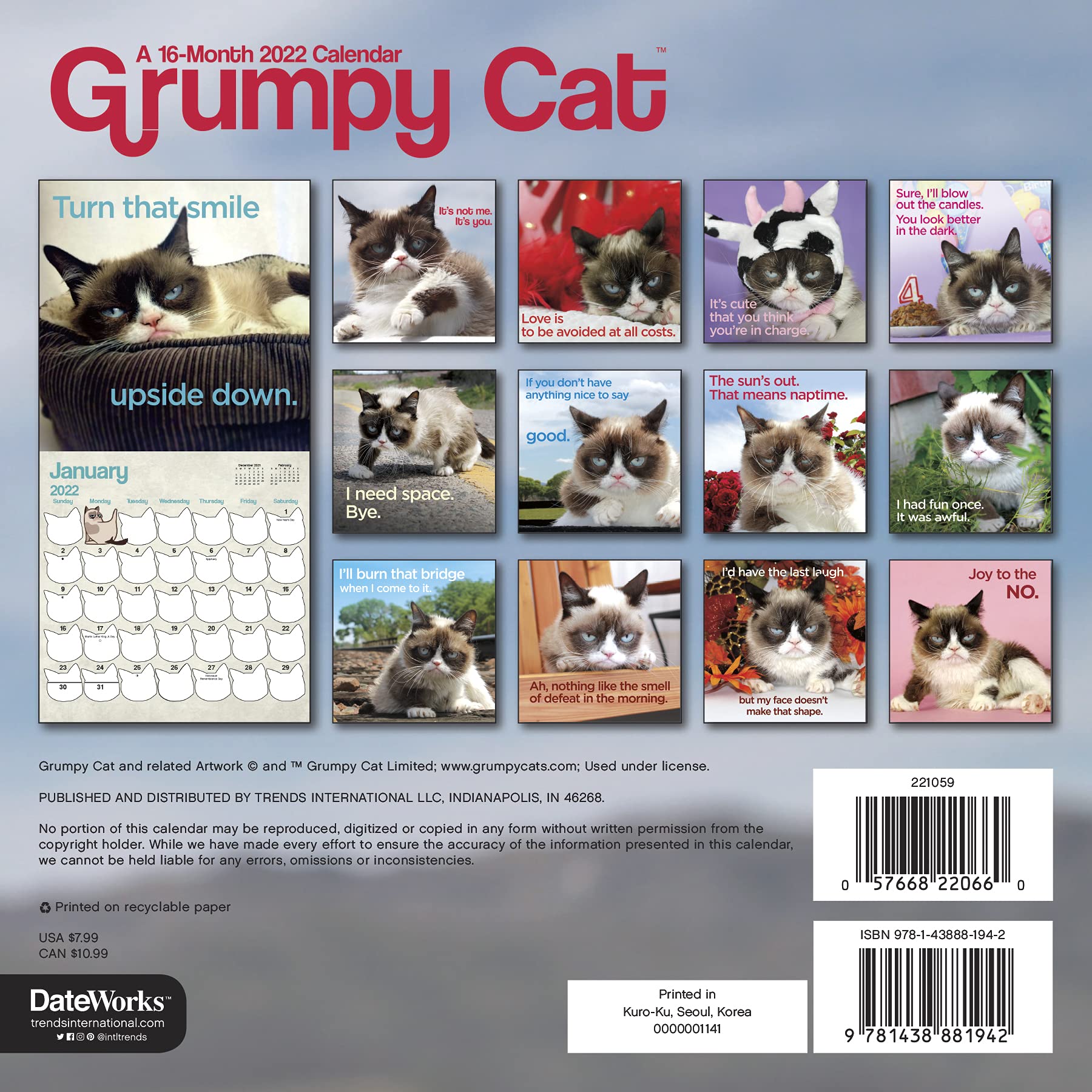 2022 Grumpy Cat Mini Wall Calendar: Trends International: 9781438881942: Amazon.com: Books