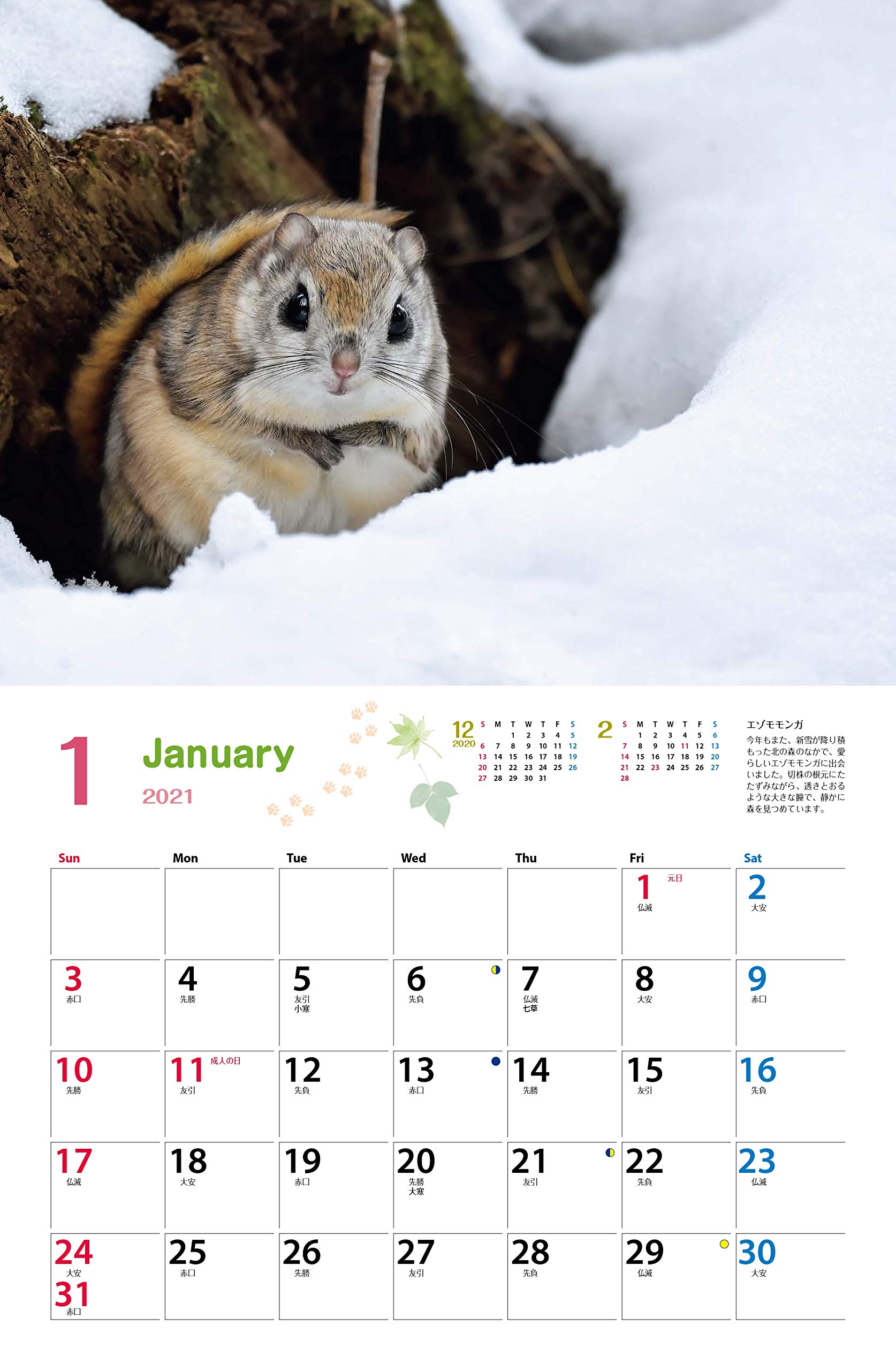 カレンダー21 太田達也セレクション 森の動物たち Tiny Story In The Forests 月めくり 壁掛け ヤマケイ カレンダー21 太田 達也 本 通販 Amazon