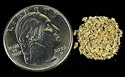 Alaskan Yukon Gold Rush Nuggets 18 Mesh 2 Grams of