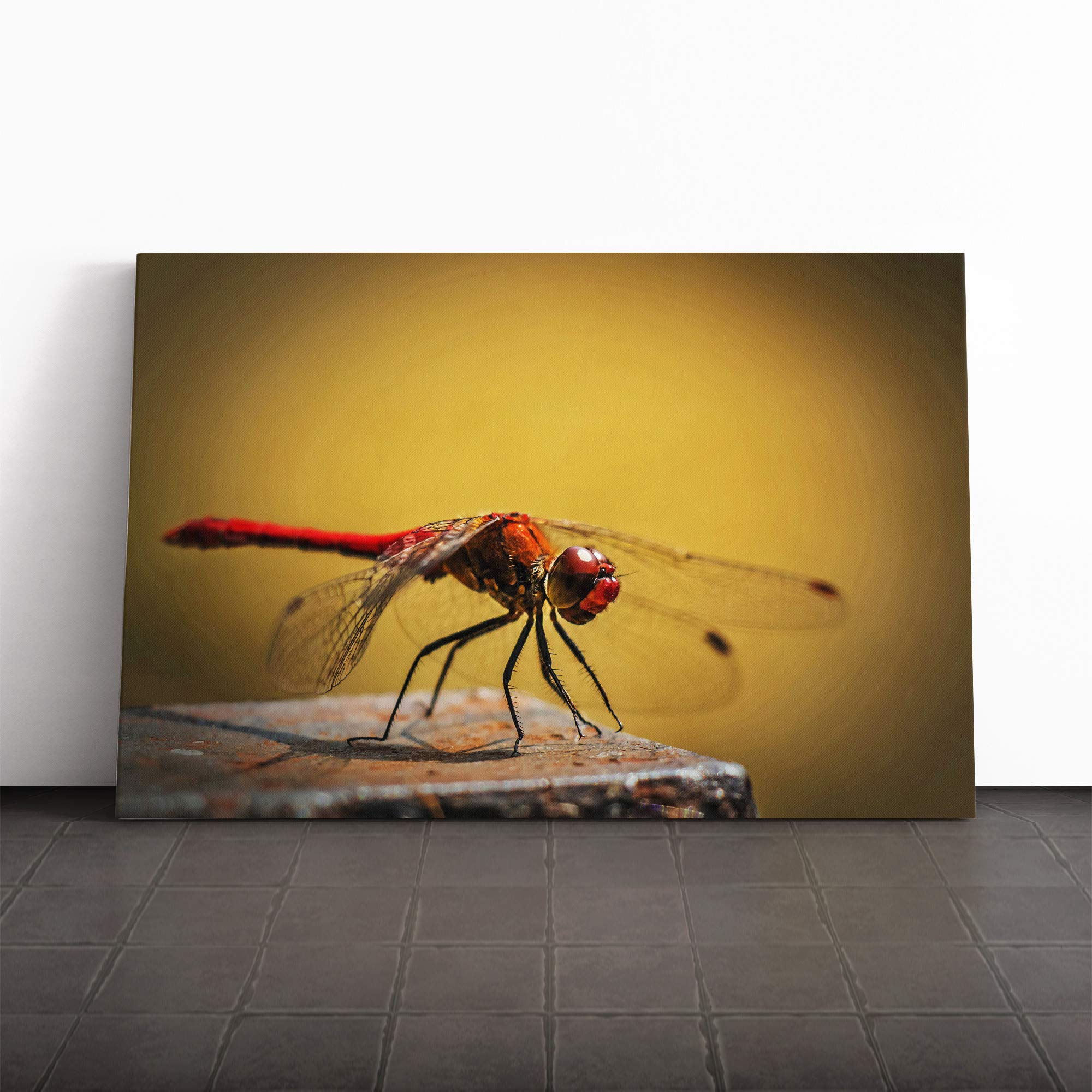 Dragonfly Insect (3) Canvas Print | Gallery Wrapped 30mm Frame Wall Art | 20x14 inches | Ready to Hang | Modern Animals Picture | Living Room Bedroom Lounge Office