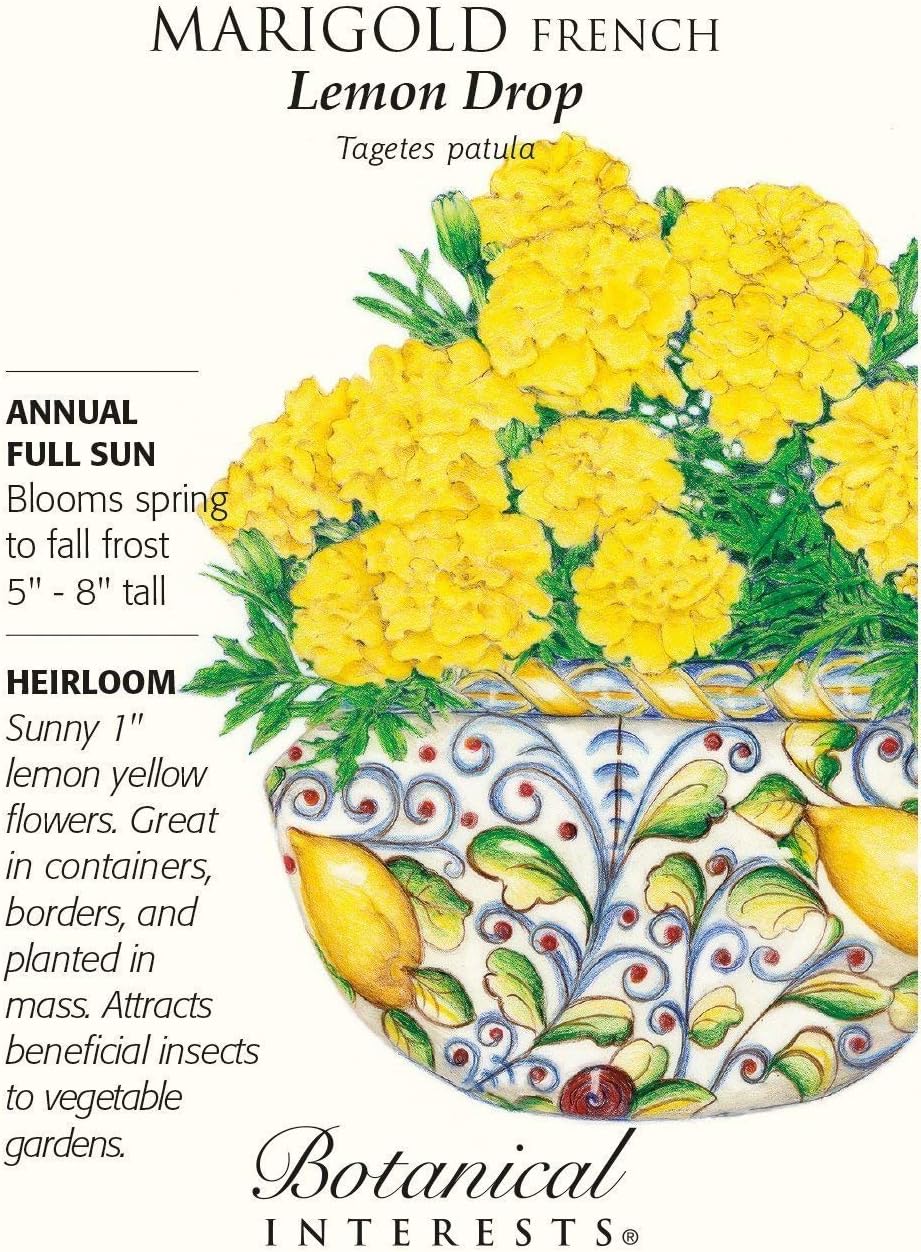 SwansGreen Lemon Drop French Marigold Seeds - 1 Gram - Botanical Interests