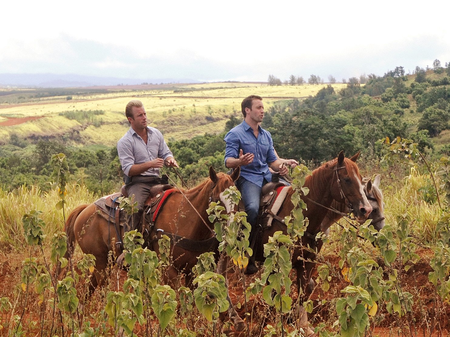 Amazon Co Jp Hawaii Five 0 シーズン 2 吹替版 を観る Prime Video