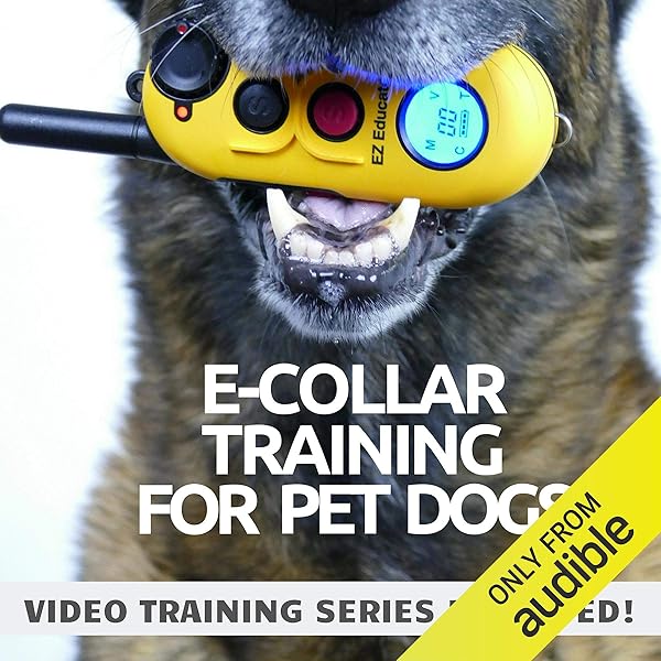 e collar training book