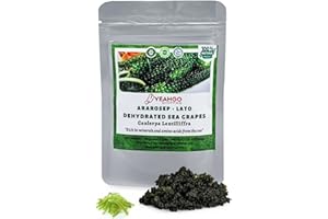 Yeahgoshopping Dried Sea Grapes, Fresh Organic Seaweed, Umibudo, Dehydrated Caulerpa Lentillifera to Eat with Salad, Sushi, Meat and Fish - 100% Natural Green (100gram/ 3.52 Oz)