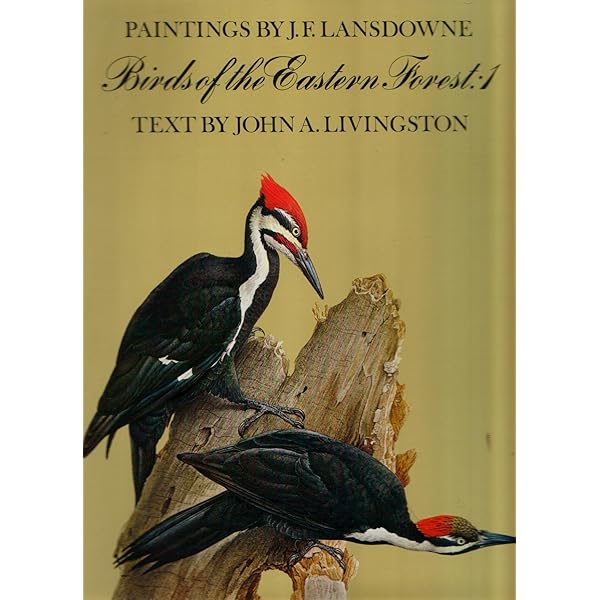 Birds of the Northern Forest: Lansdowne, J. F. (James Fenwick