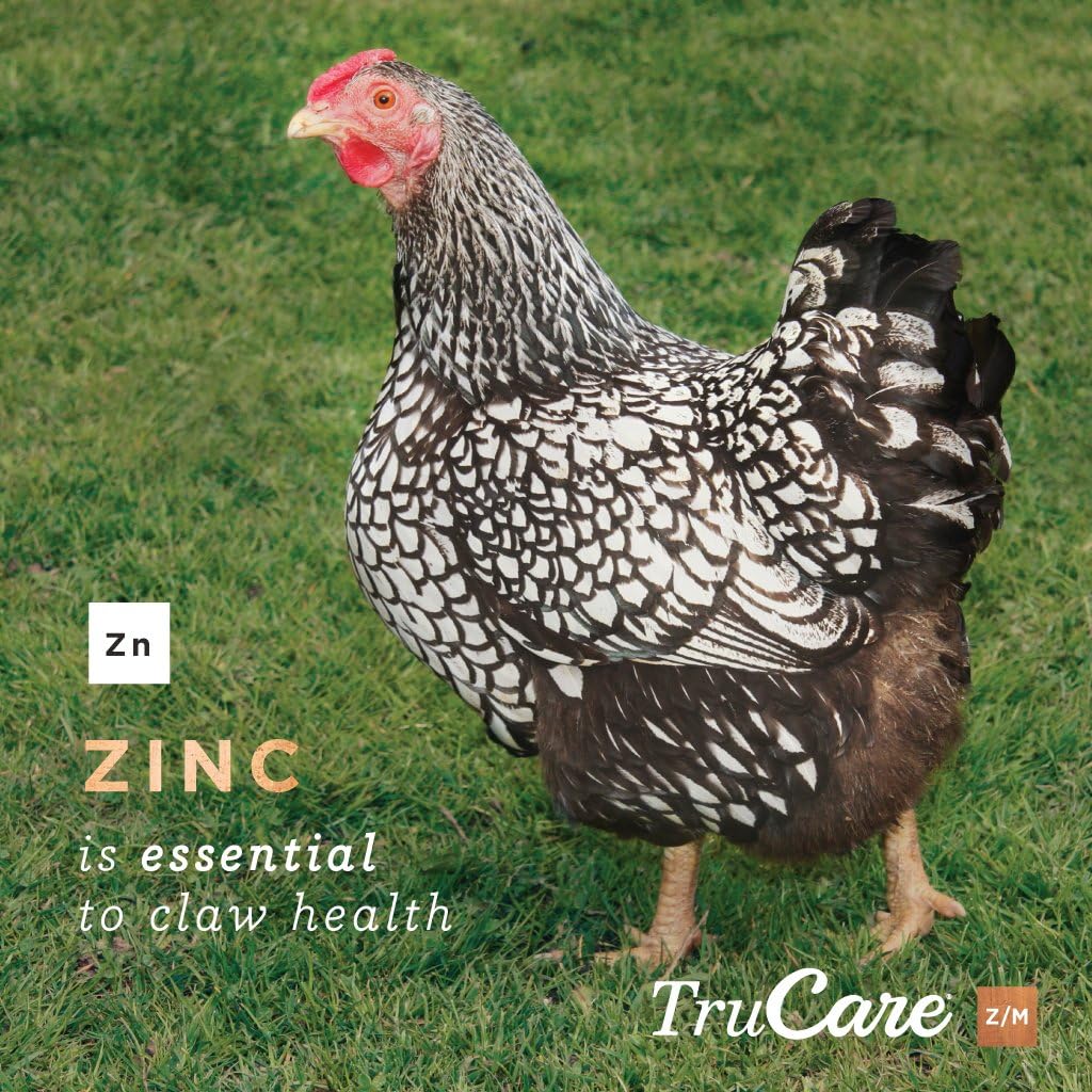 TruCare Z/M Top-Dress Trace Mineral Blend for Multi-Species: Pigs, Sheep, Llamas, Rabbits, Poultry (Zinc, Manganese) : Pet Supplies