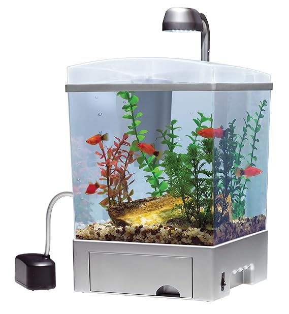 Tetra Aquarium Kit, Silver Aquarium Starter Kits Pet