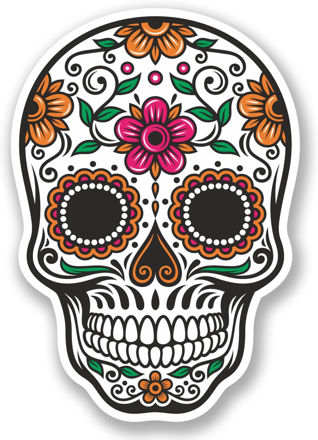 sugar skull bike