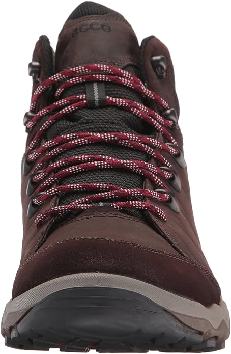 ecco ulterra mens purple