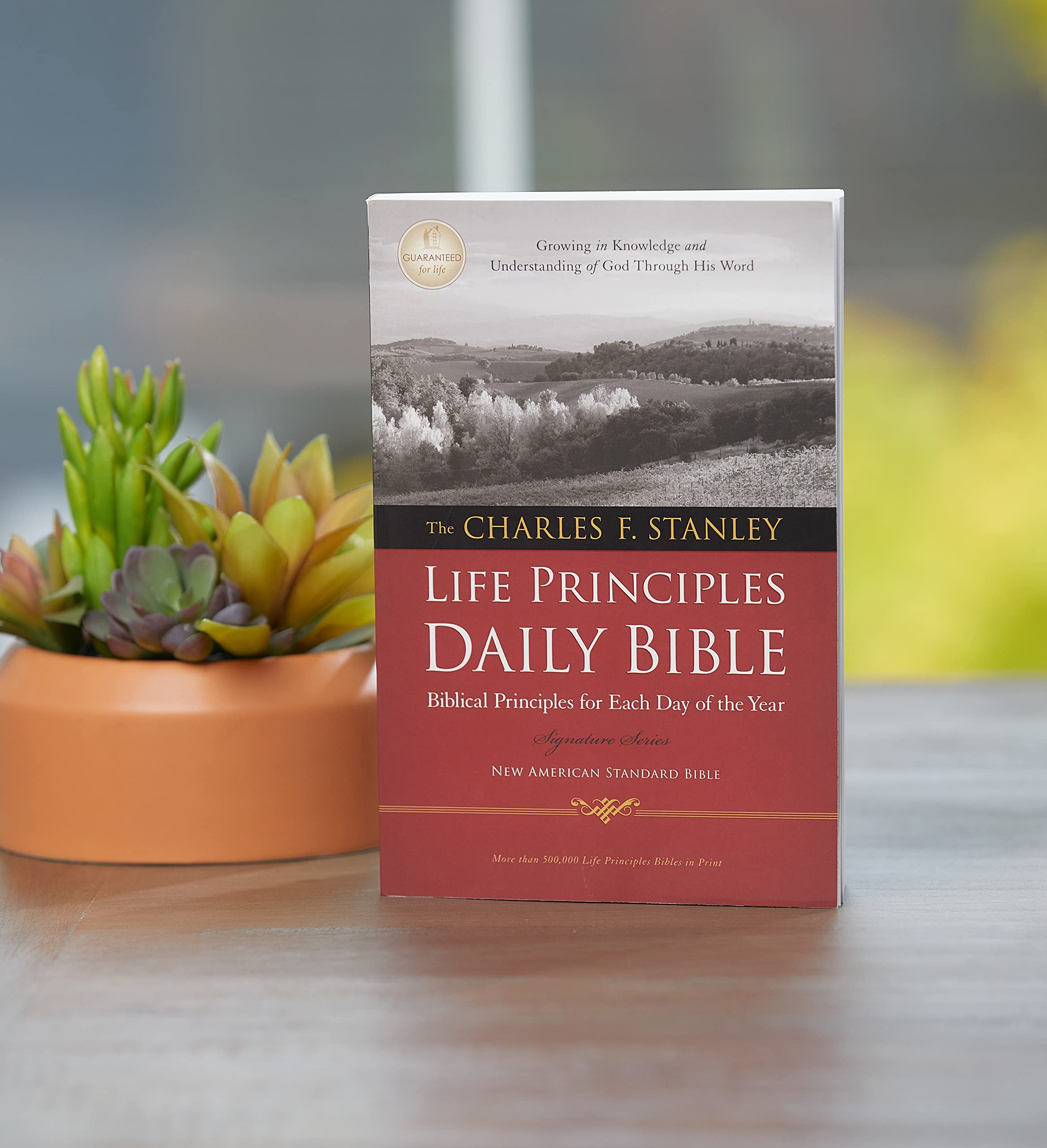 NASB, The Charles F. Stanley Life Principles Daily Bible, Paperback: Holy Bible, New American Standard Bible