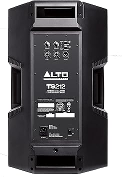 alto ts2