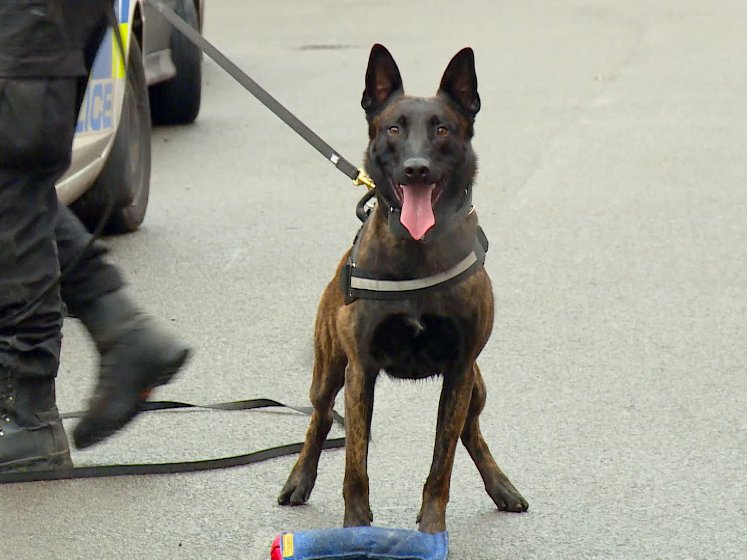 Watch Cops UK Bodycam Squad Season 4 Prime Video