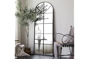 ZMYCZ Floor Full Length Mirror, Black Arched-Top, Large Window Pane Mirror, Wall Mounted Mirror, 65"x22" Standing Mirror Hanging or Leaning, Body Mirrors for Bedroom, No Stand