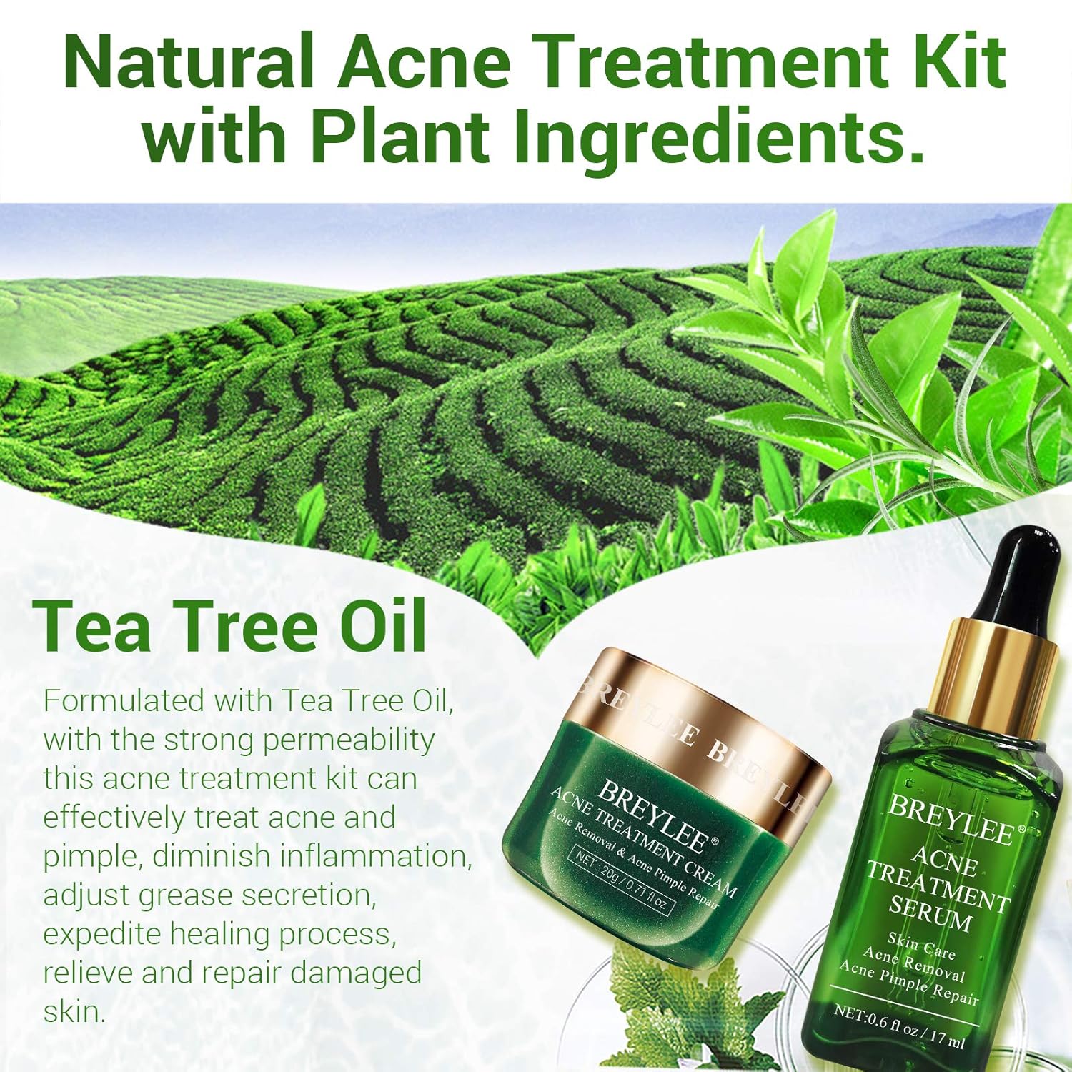 breylee acne treatment kit