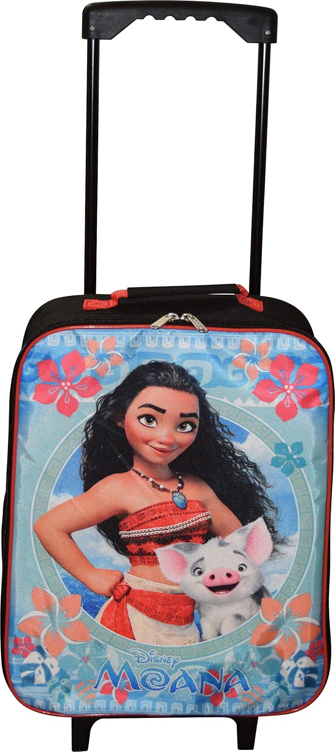 collapsible suitcase amazon