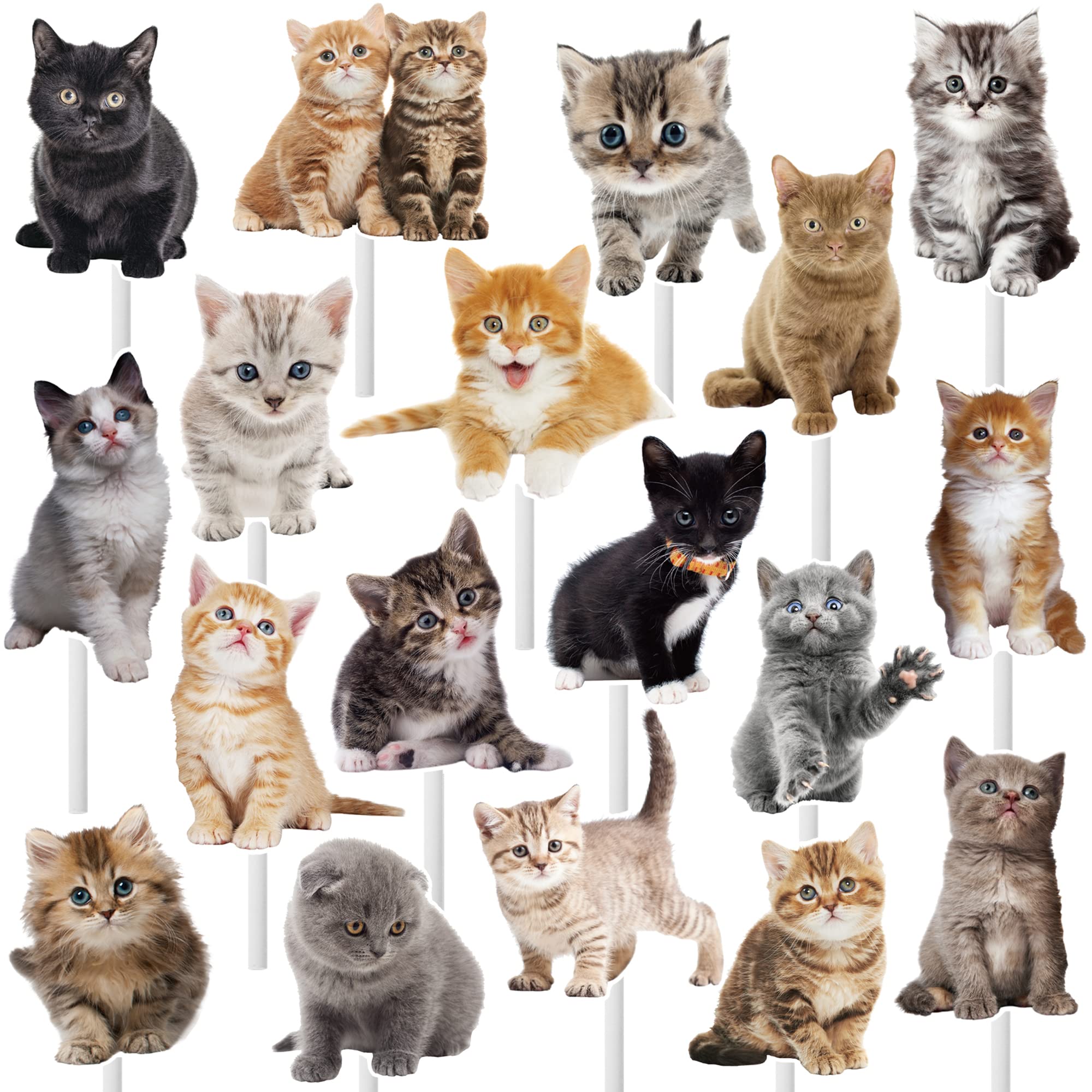 Photo 1 of 36pcs Baby Cat Cupcake Toppers Cute Cat Cupcake Toppers Kitten Pet Birthday Party Decoration for Kitty Cat Theme Birthday Party Baby Shower Supplies