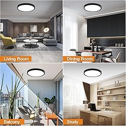 TALOYA Dimmable Flush Mount Ceiling
