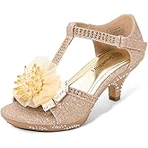 DREAM PAIRS Girls Sandals Low Heel Dress Pump Ankle T Strap Flower Shoes Toddler/Little Kid/Big Kid
